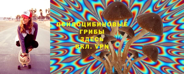 МДПВ Нея