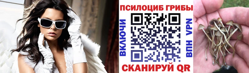 Псилоцибиновые грибы MAGIC MUSHROOMS  наркошоп  Рыльск 